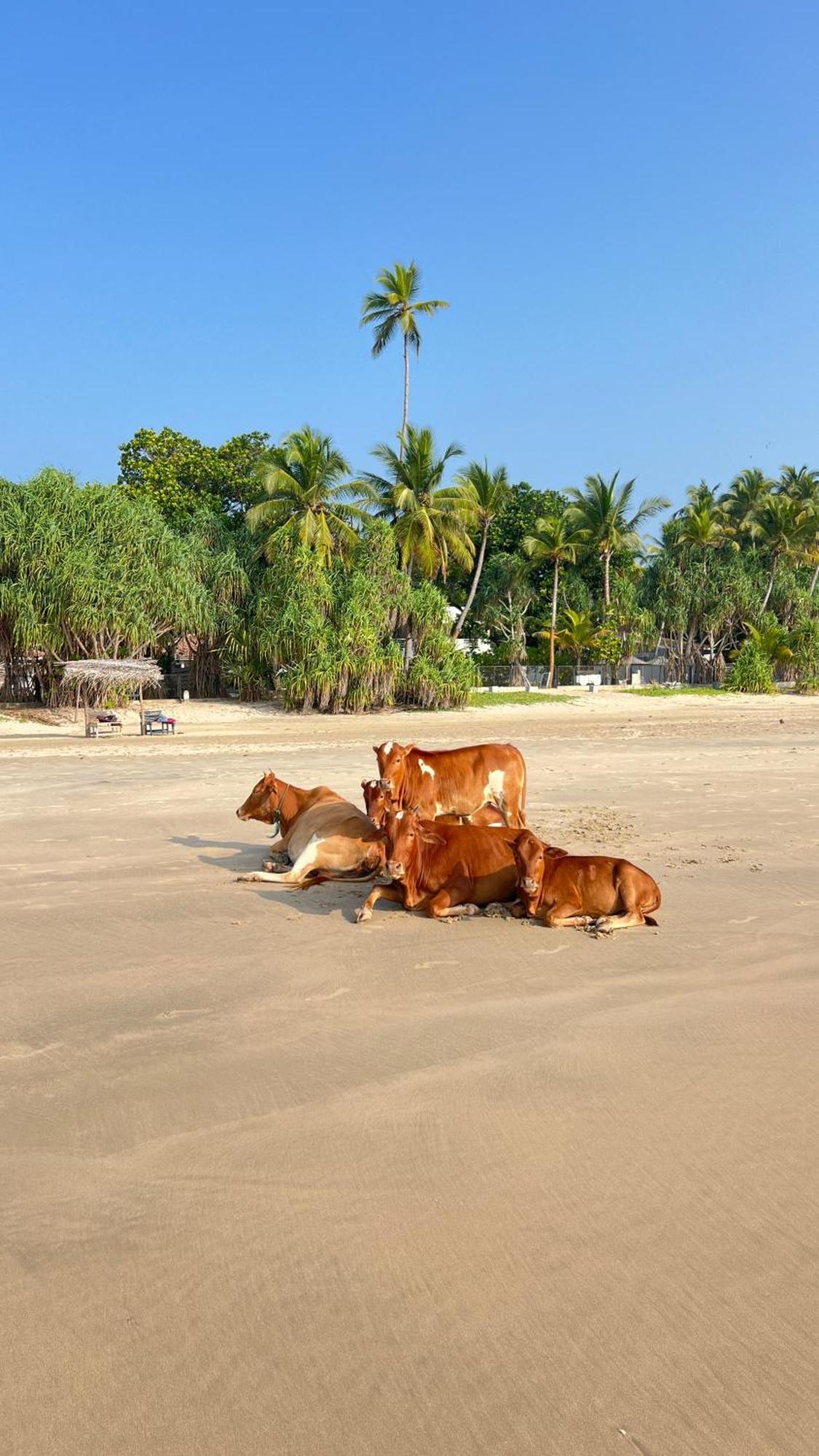 Relax Beach House Tangalle Buitenkant foto